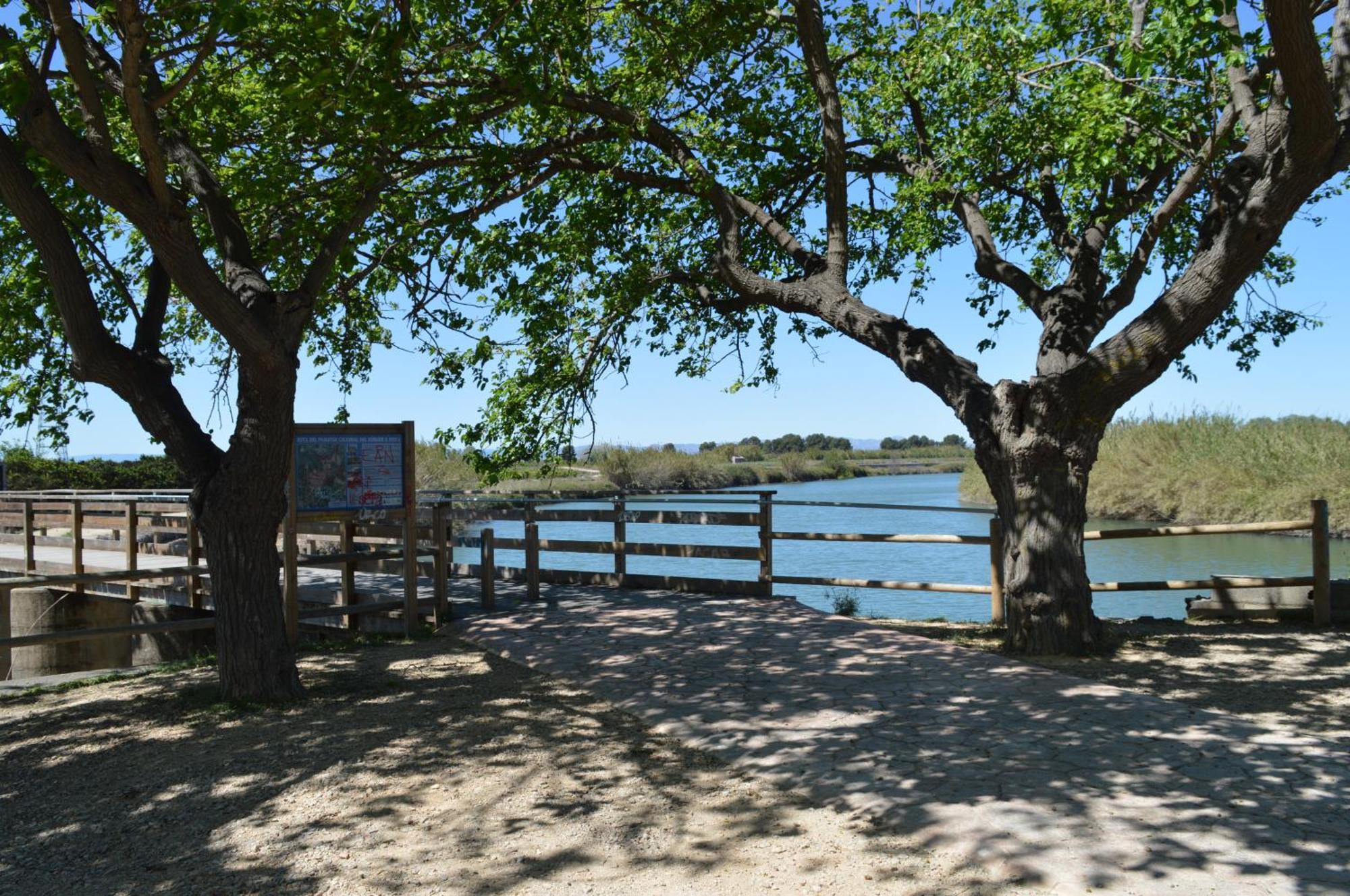 Villa Casa Del Riu. Riola Esterno foto